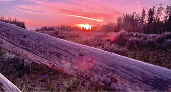 A wooden fence with a purple sky in the background. AI generated content